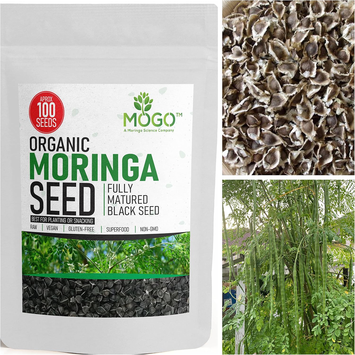 100+ Organic Moringa Seeds